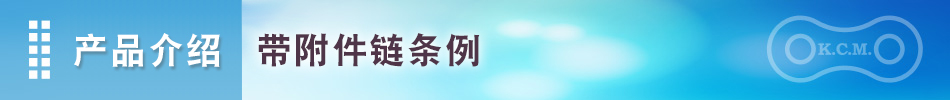 产品介绍 带附件链条例｜加贺工业株式会社｜KCM 标准滚子链