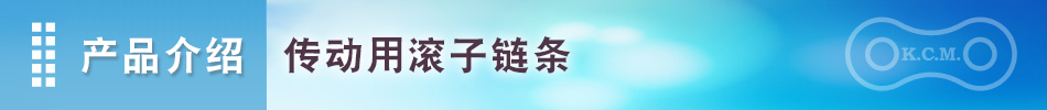 产品介绍 传动用滚子链条｜加贺工业株式会社